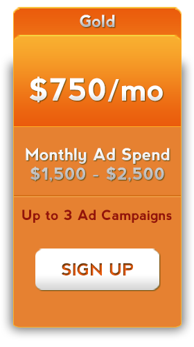 facebook advertising 750 dollars a month service package